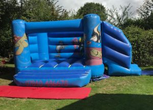shark-tale-bouncy-castle